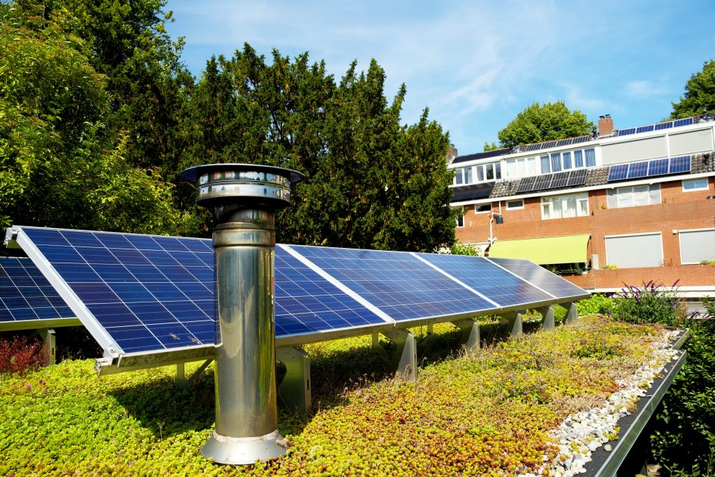 La-toiture-végétalisée-améliore-la-performance-énergétique-de-votre-immeuble